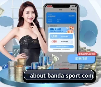 半岛综合 APP